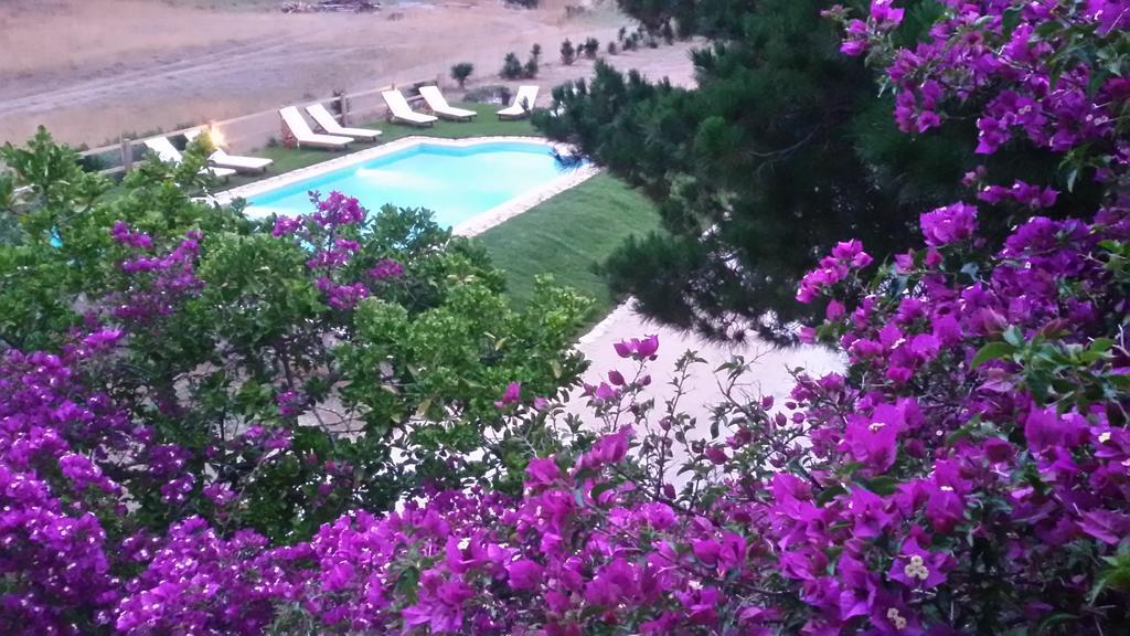 Elli Beach Apartments And Studios Praia de Almiros Quarto foto